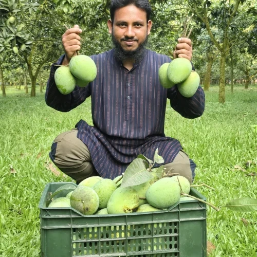  হাড়িভাঙ্গা  thumbnail 2