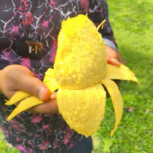  হাড়িভাঙ্গা  thumbnail 3