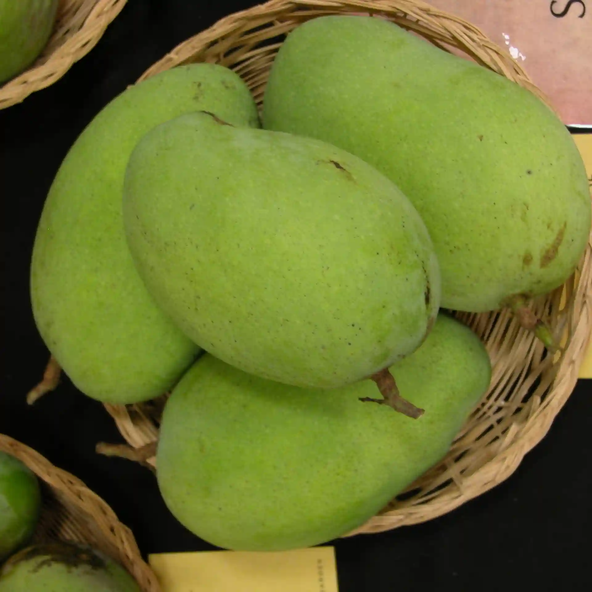 Himsagor-হিমসাগর