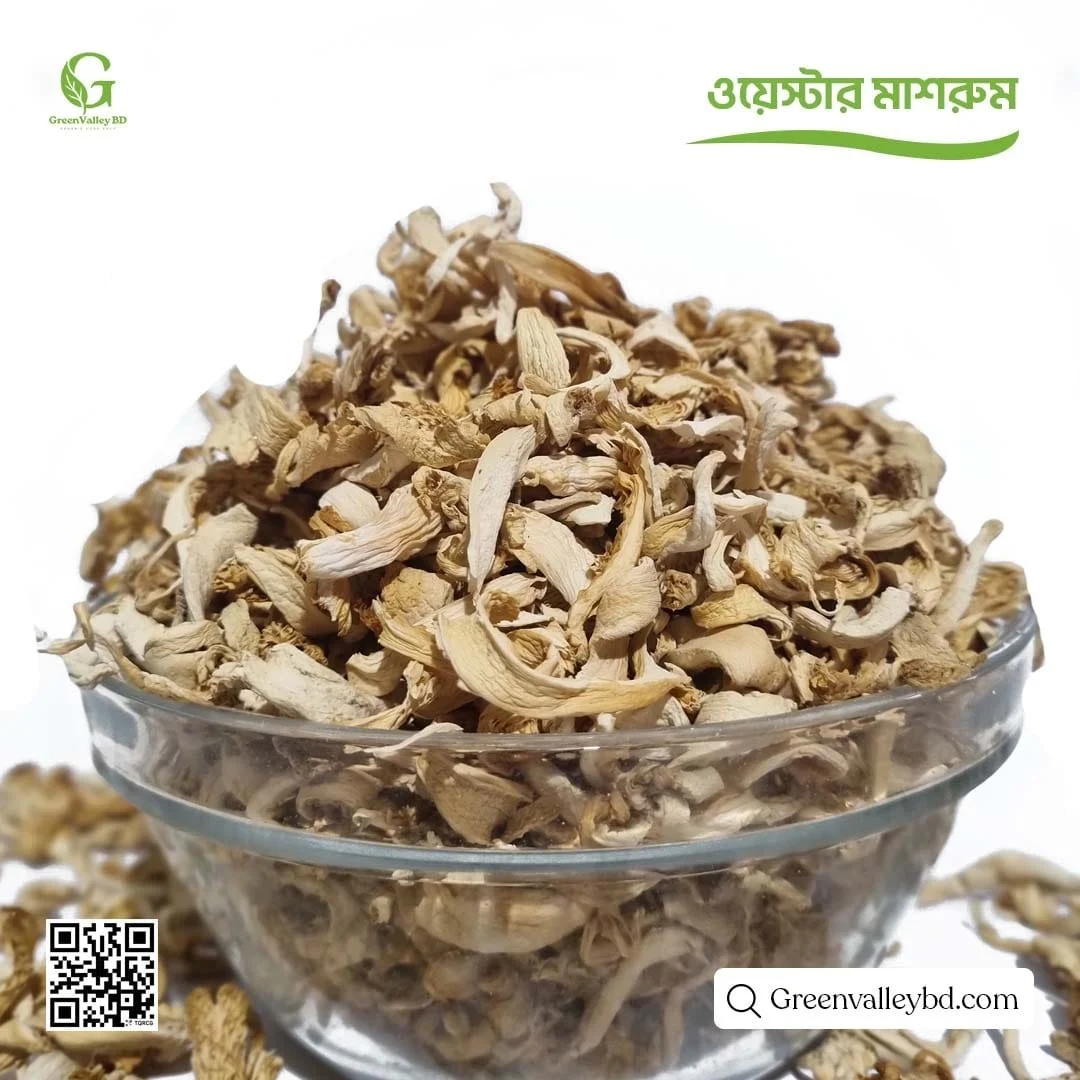 অয়েস্টার মাশরুম (Oyster Mushroom)
