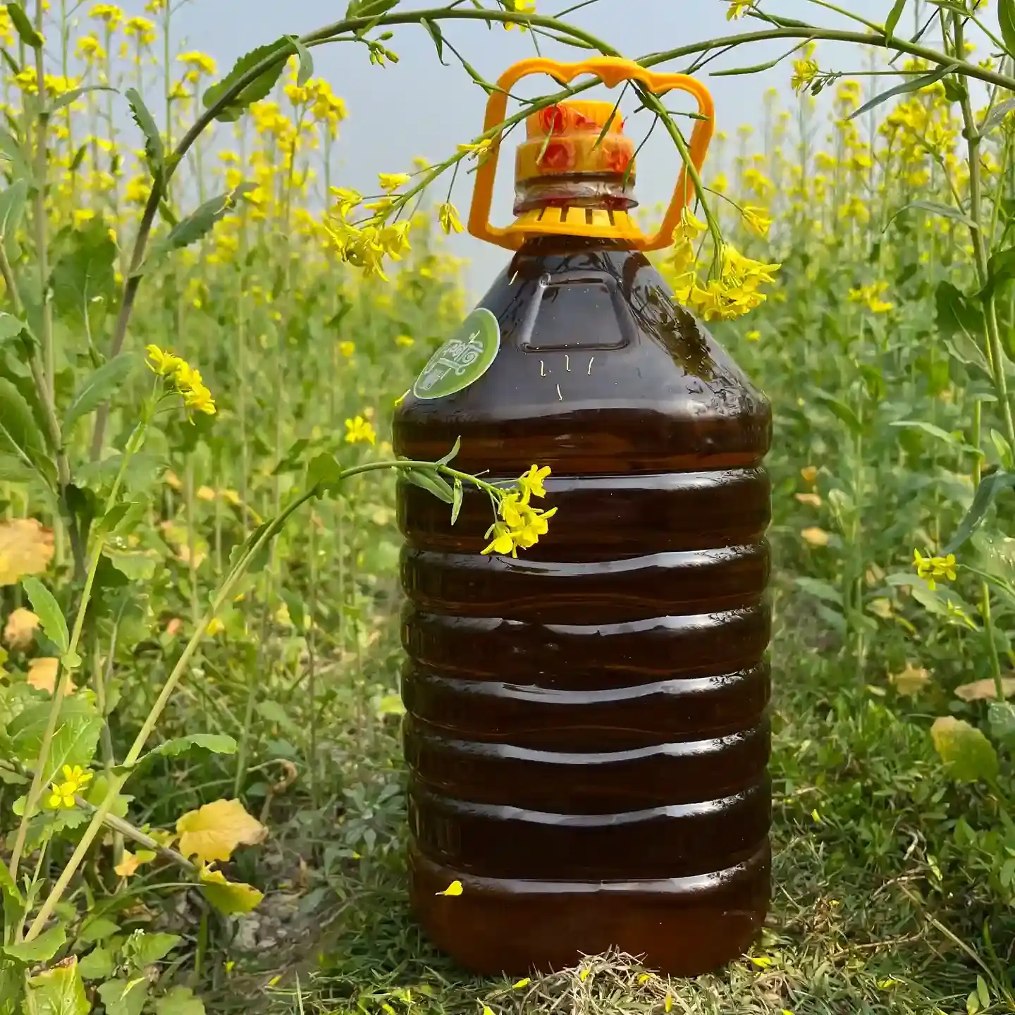 Mustard Oil / কাঠের ঘানিতে ভাঙানো দেশী মাঘি সরিষার তেল thumbnail 2