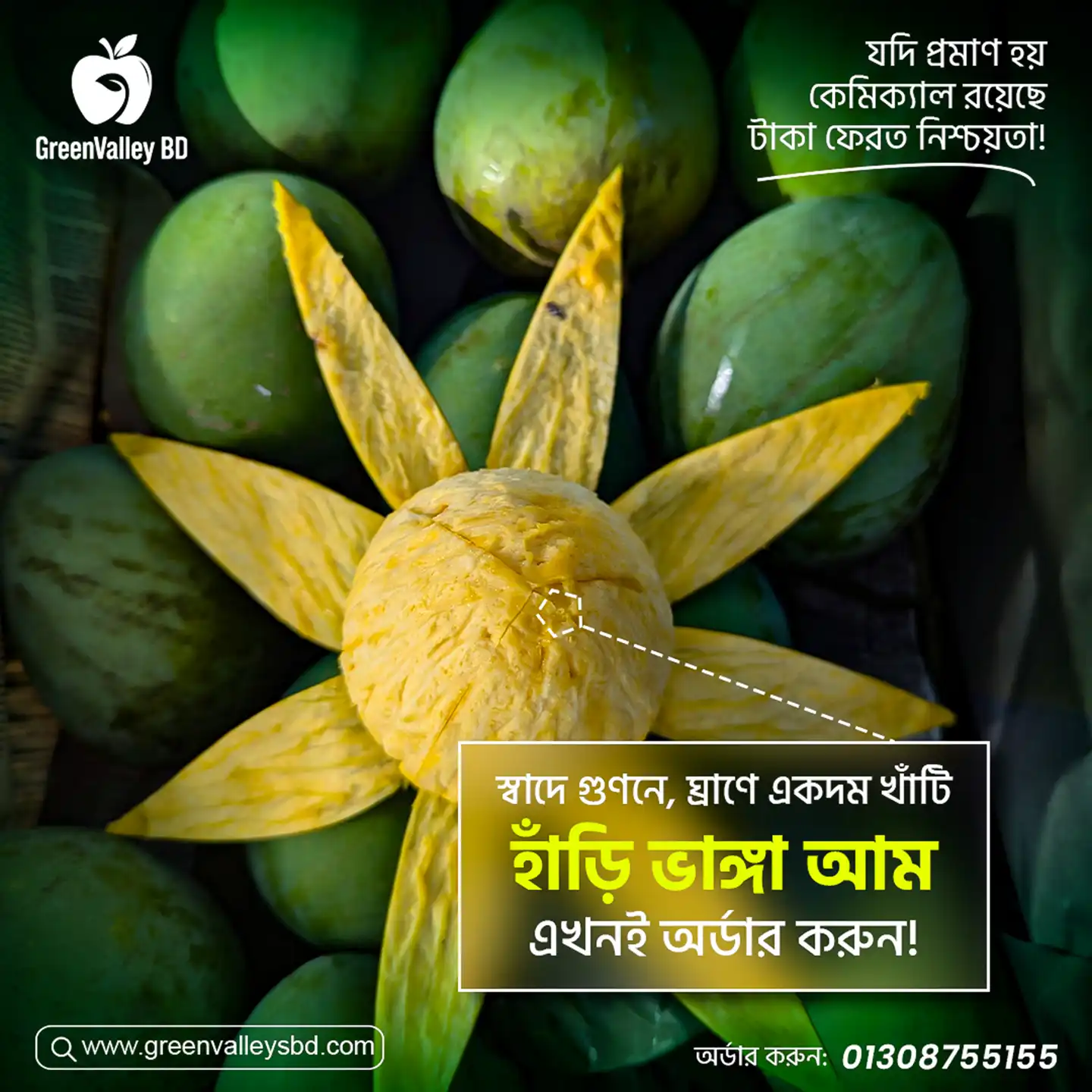 হাড়িভাঙ্গা-Harivanga