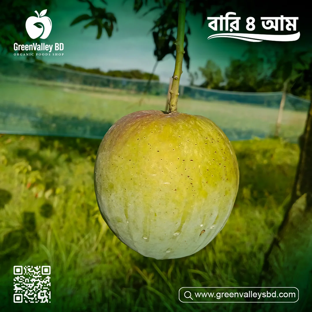 বারি ৪ আম