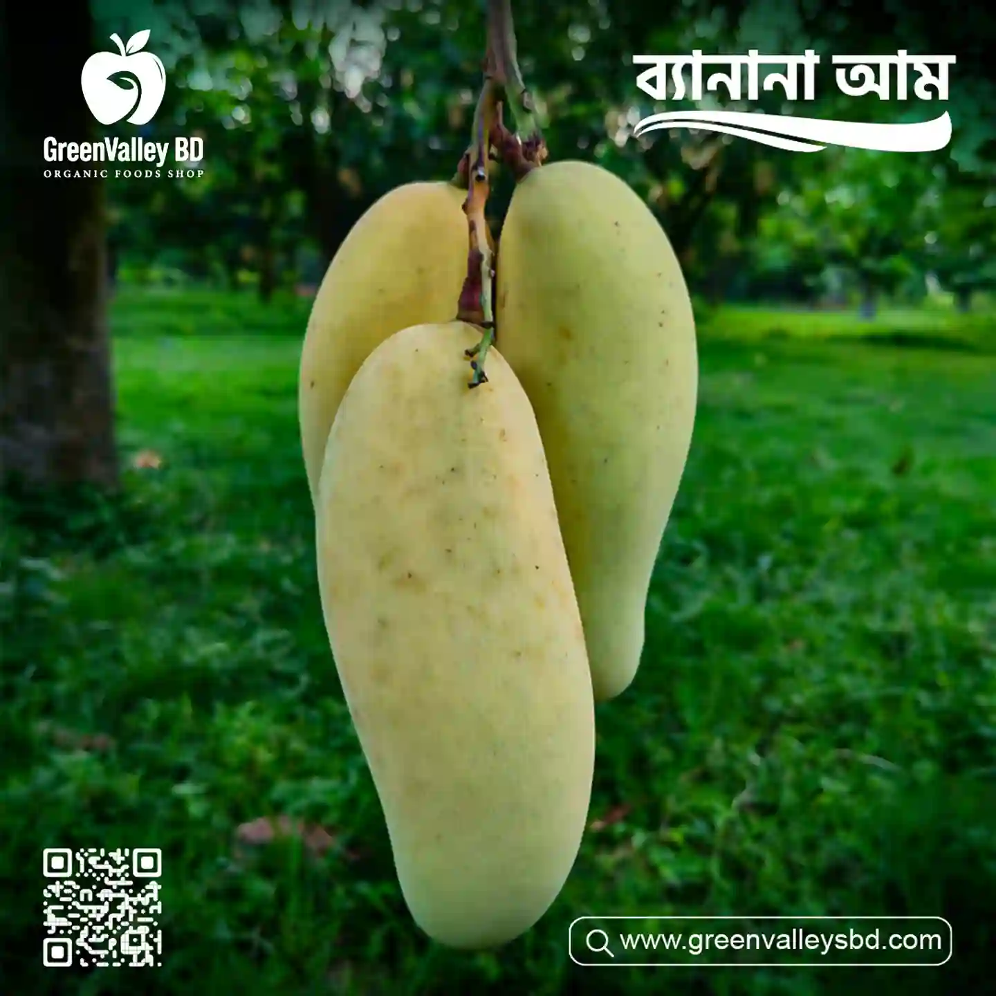 ব্যানানা আম-Banana Aam