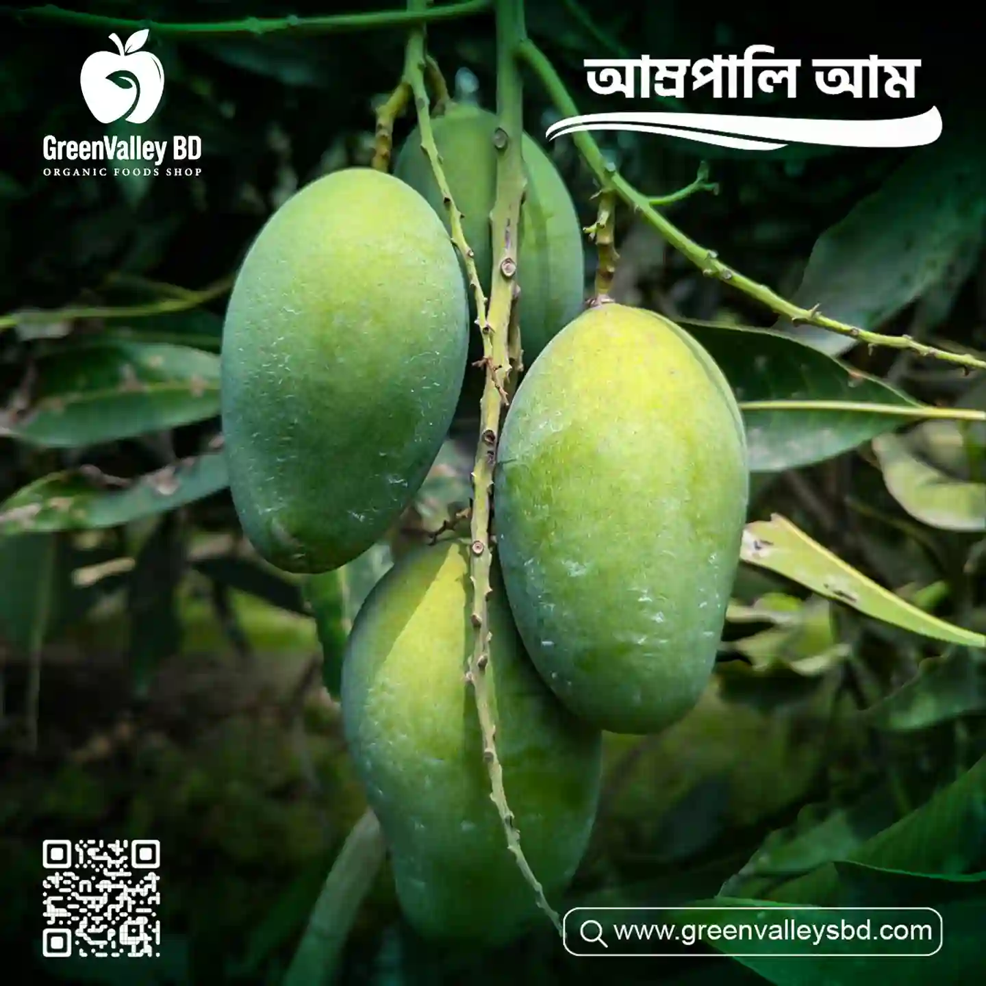 রুপালি-Rupali