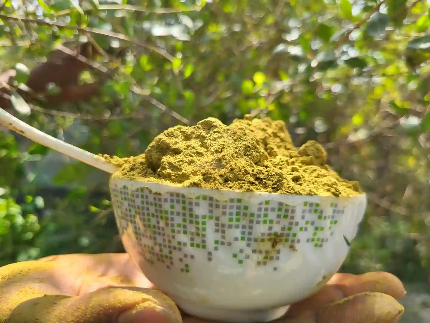 প্রাকৃতিক মেহেদি পাতার গুরা thumbnail 2