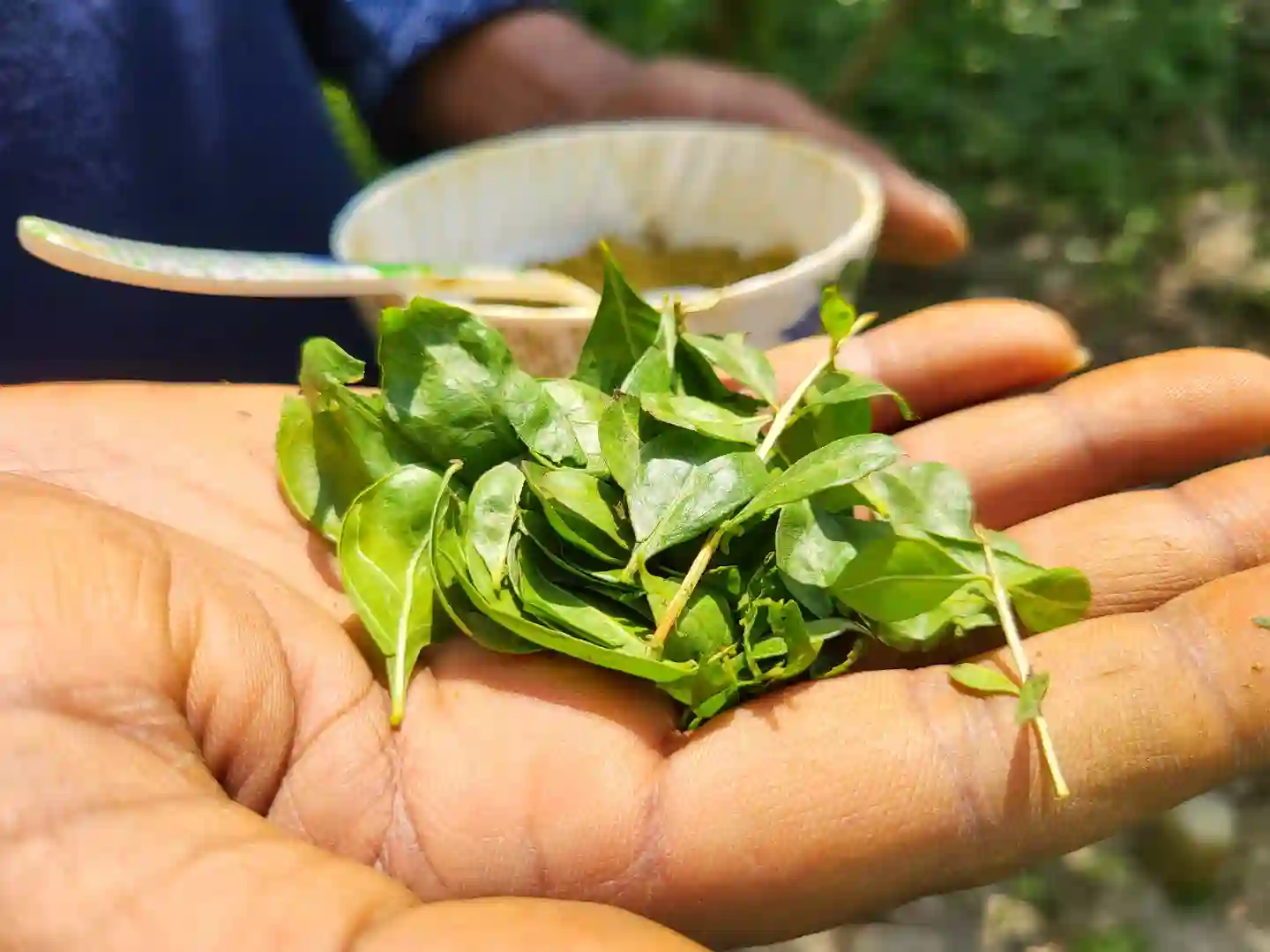 প্রাকৃতিক মেহেদি পাতার গুরা thumbnail 3