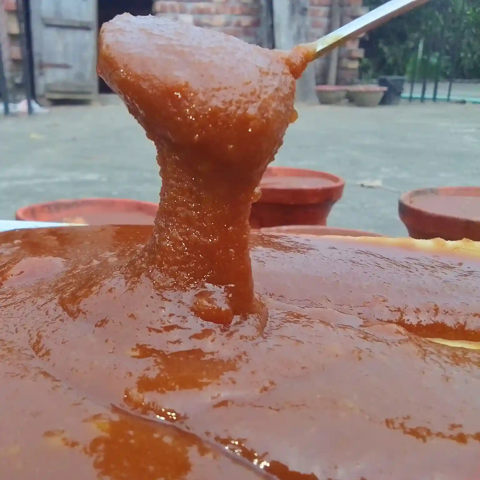  ঐতিহ্যবাহী খেজুর দানা গুড় 