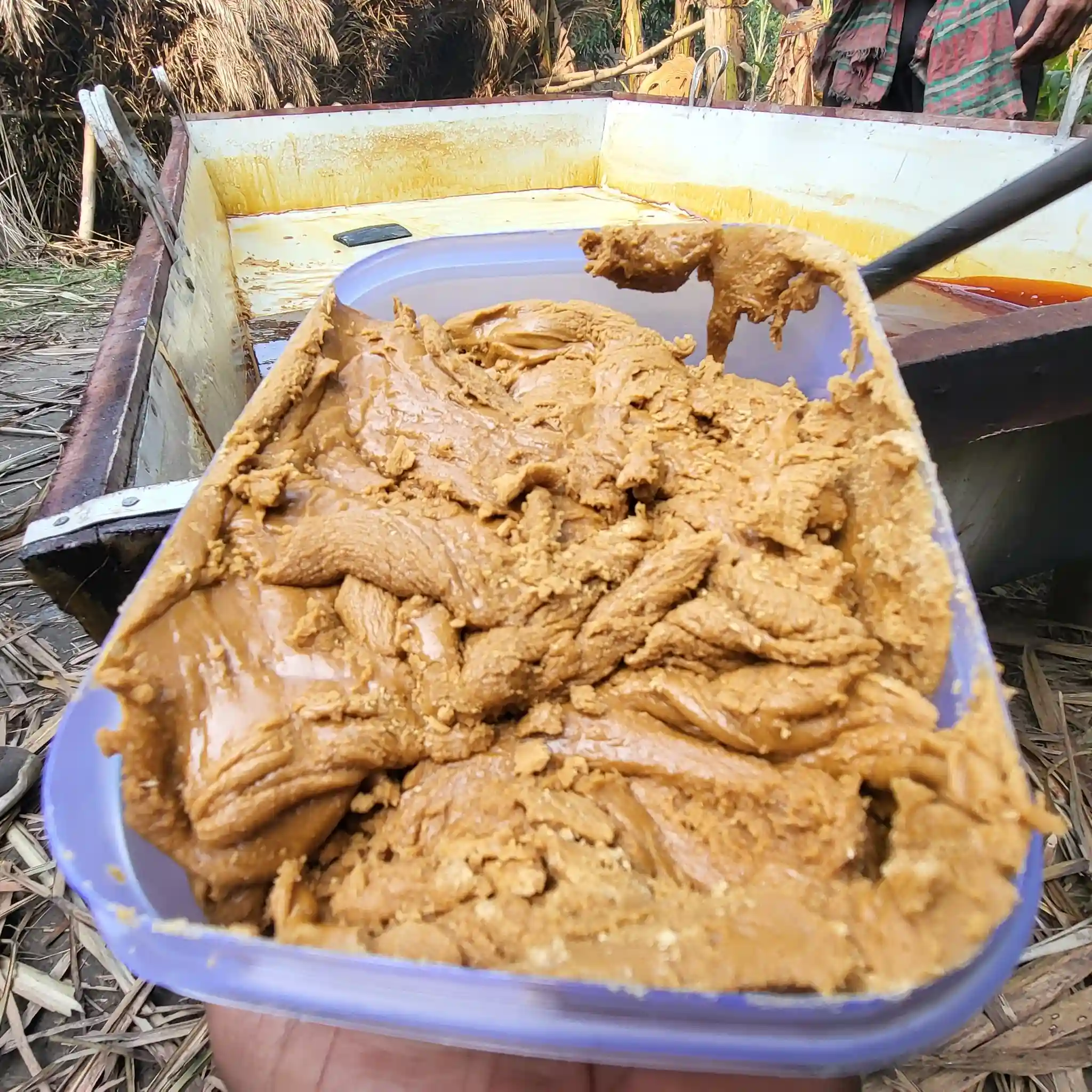 স্পেশাল সন্দেশ বিজগুড়