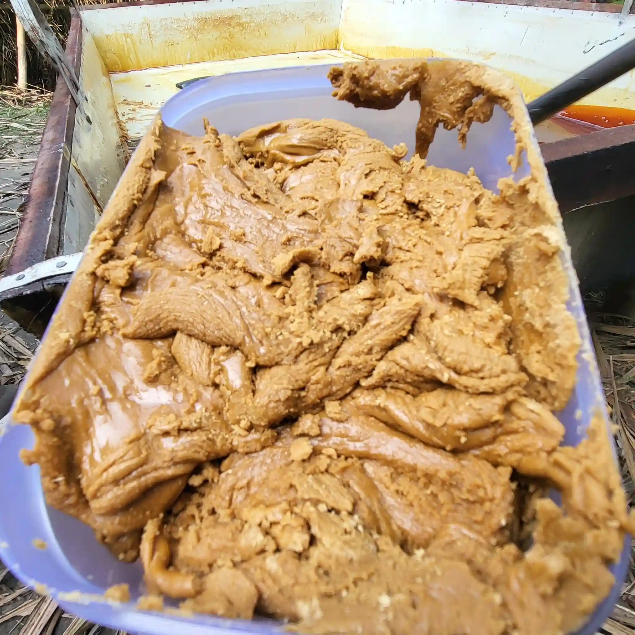 স্পেশাল সন্দেশ বিজগুড় thumbnail 2