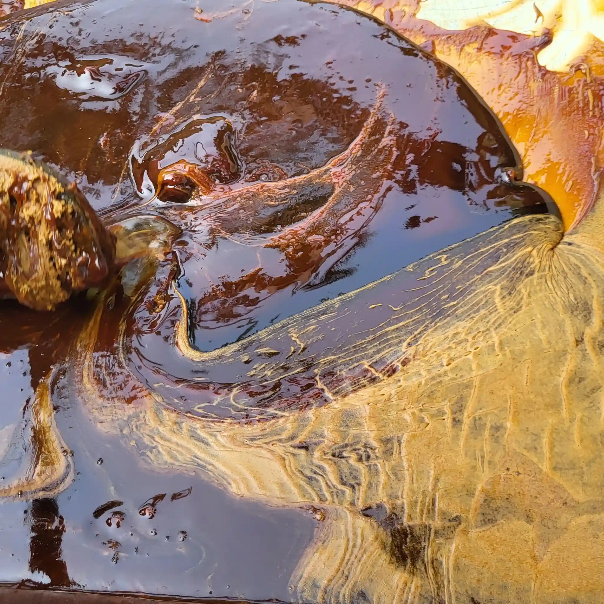 ঐতিহ্যবাহী খেজুরের নলেন /লিকুইড /রাব গুড়