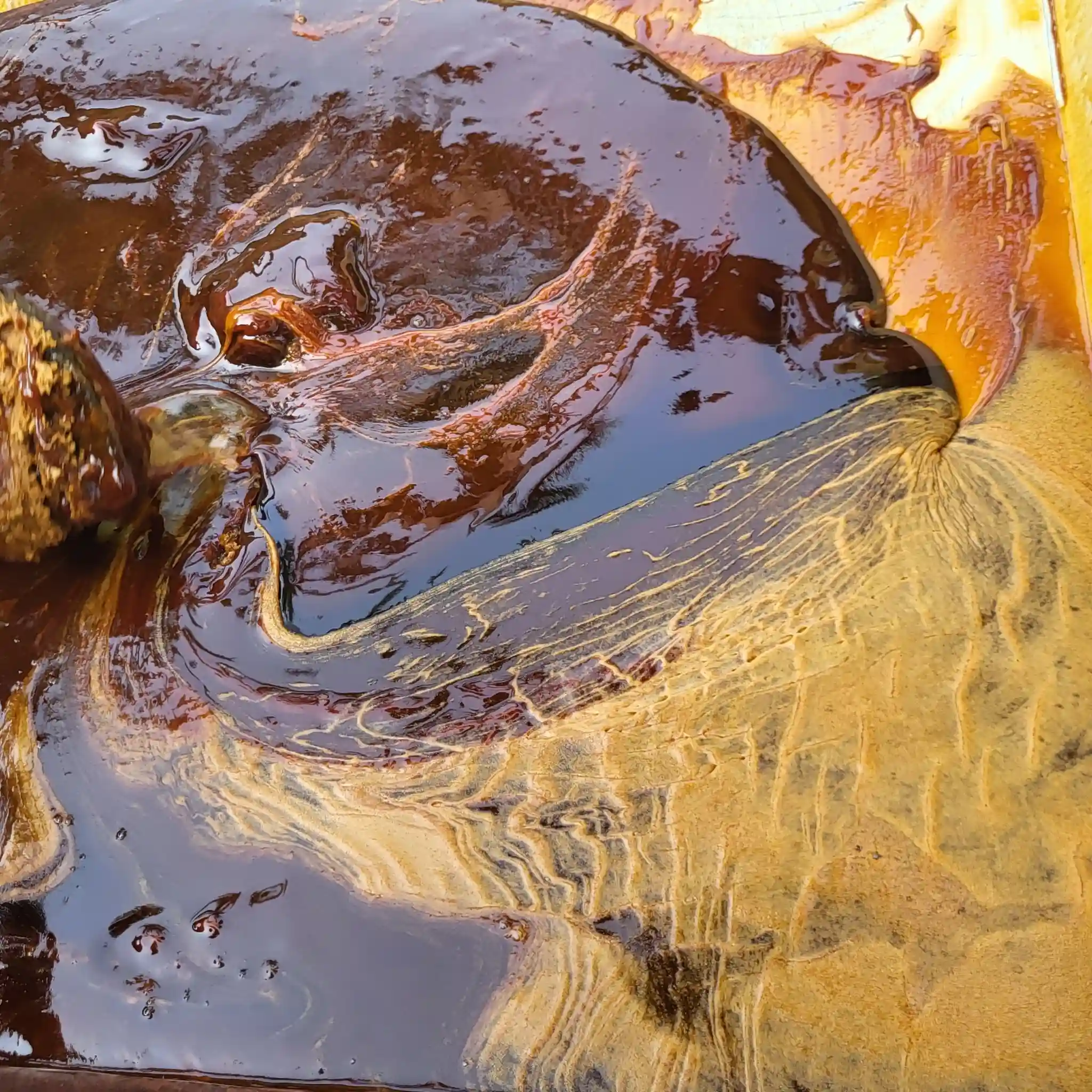 ঐতিহ্যবাহী খেজুরের নলেন /লিকুইড /রাব গুড় thumbnail 3