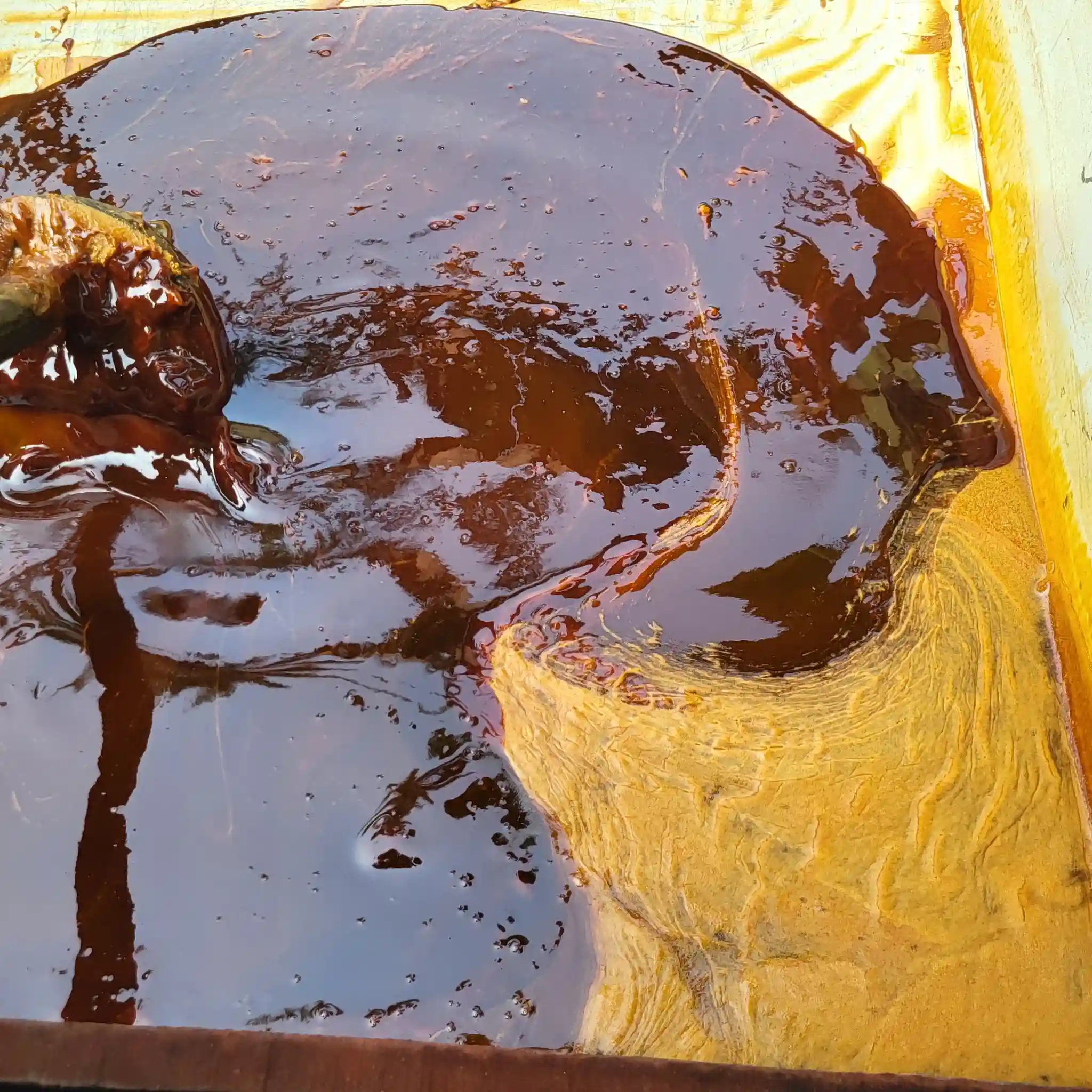 ঐতিহ্যবাহী খেজুরের নলেন /লিকুইড /রাব গুড় thumbnail 4