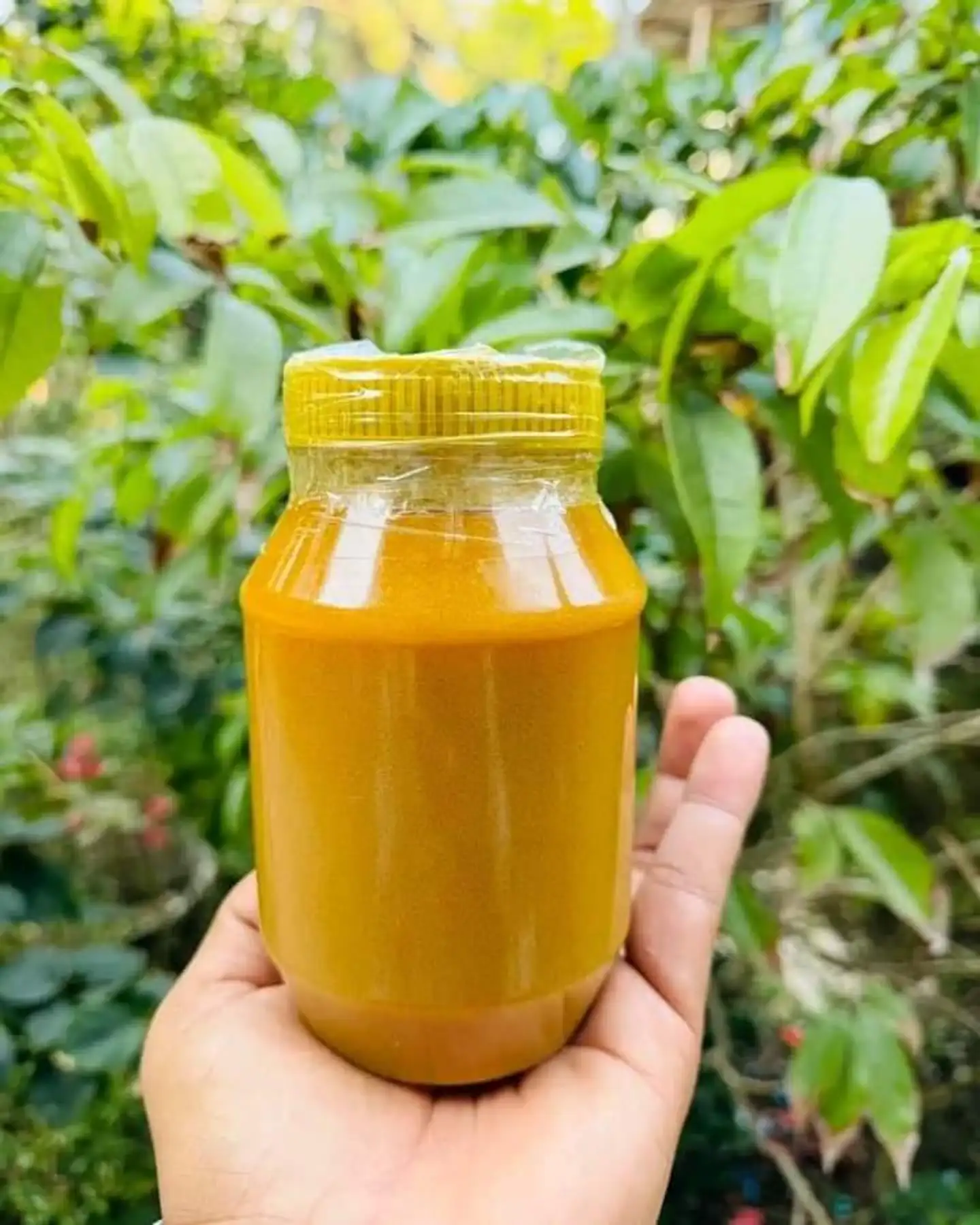 ঘি 500 gm 750 tk  thumbnail 2