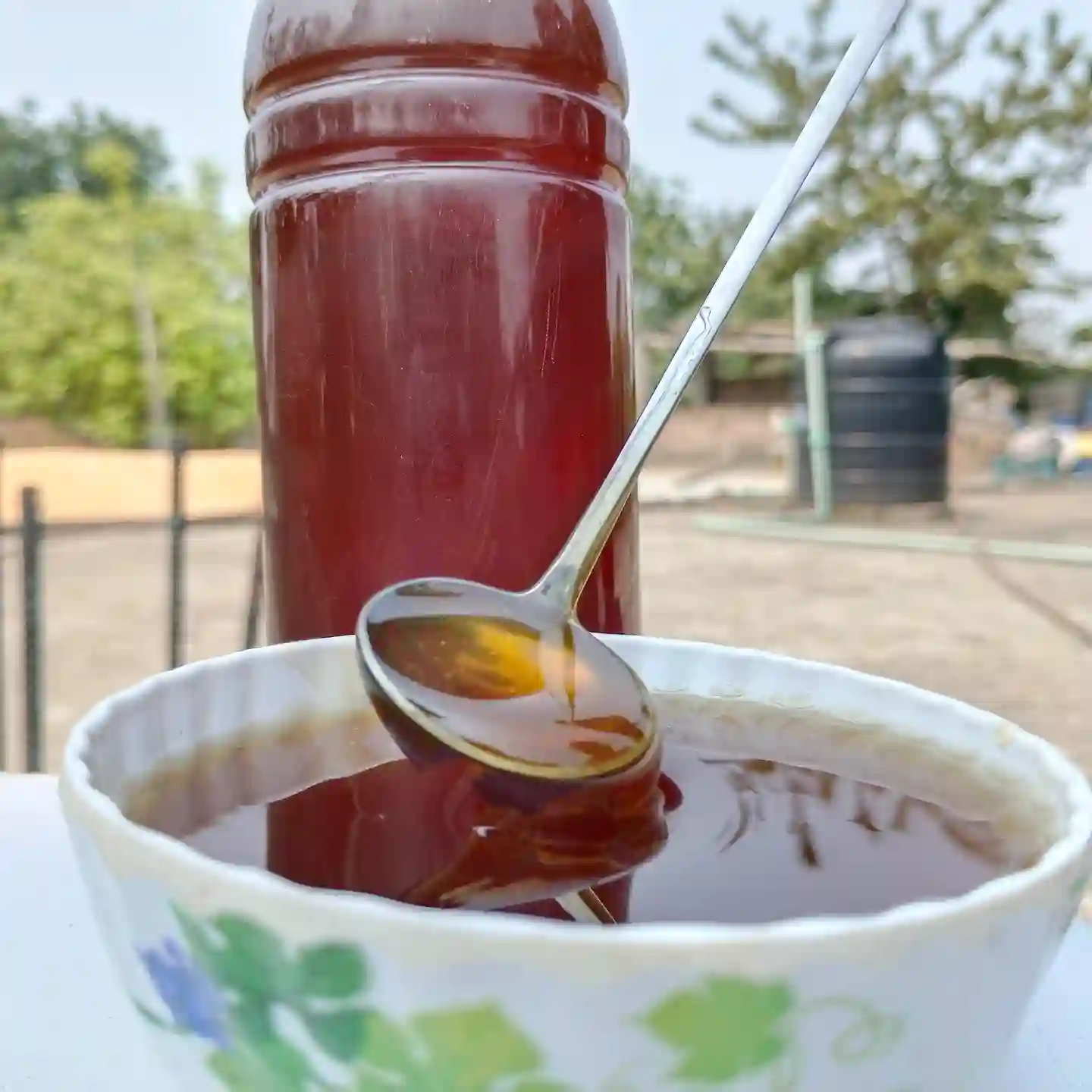 সুন্দরবনের মধু thumbnail 4