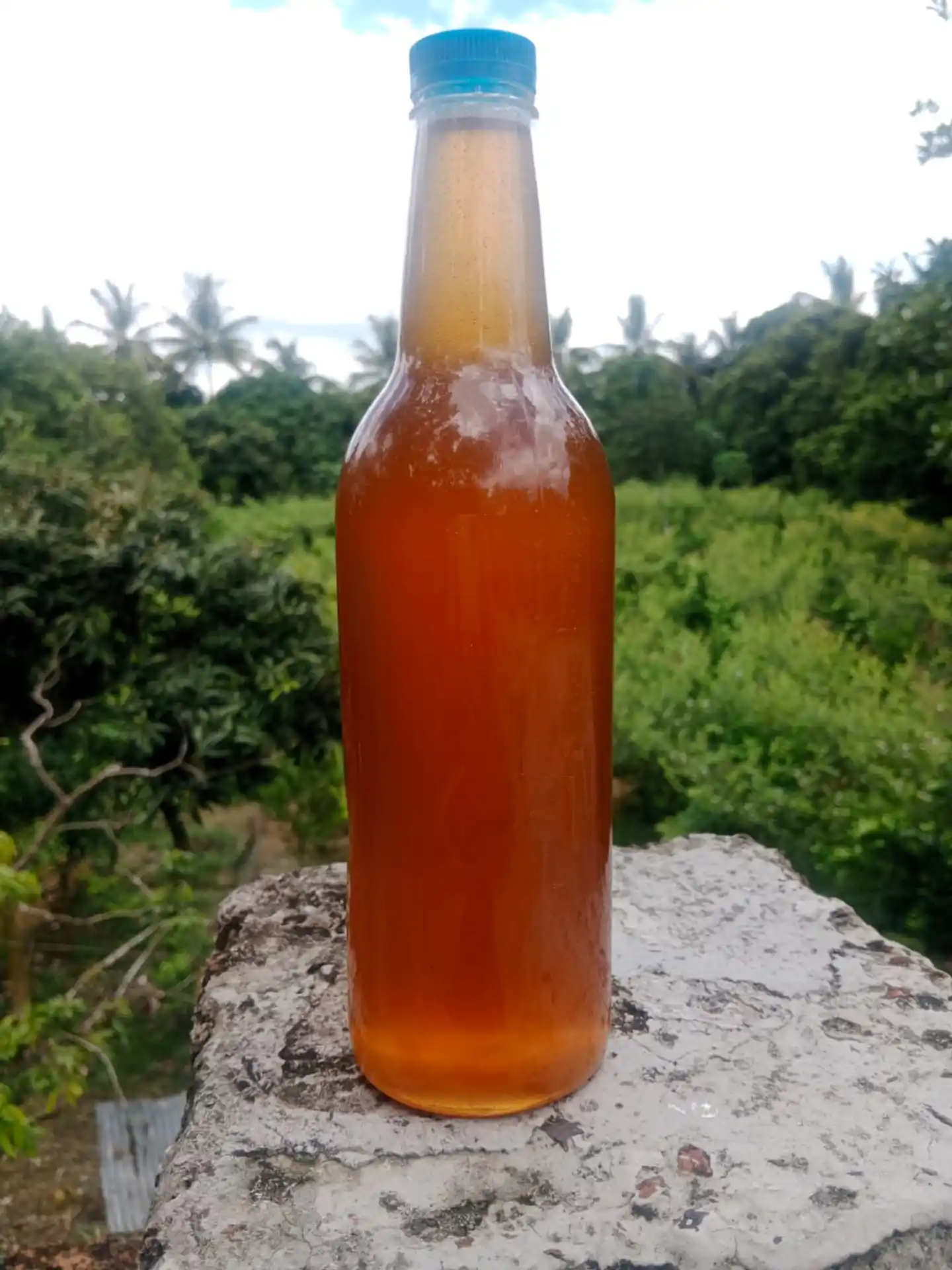 প্রাকৃতিক চাকভাঙ্গা মধু thumbnail 4