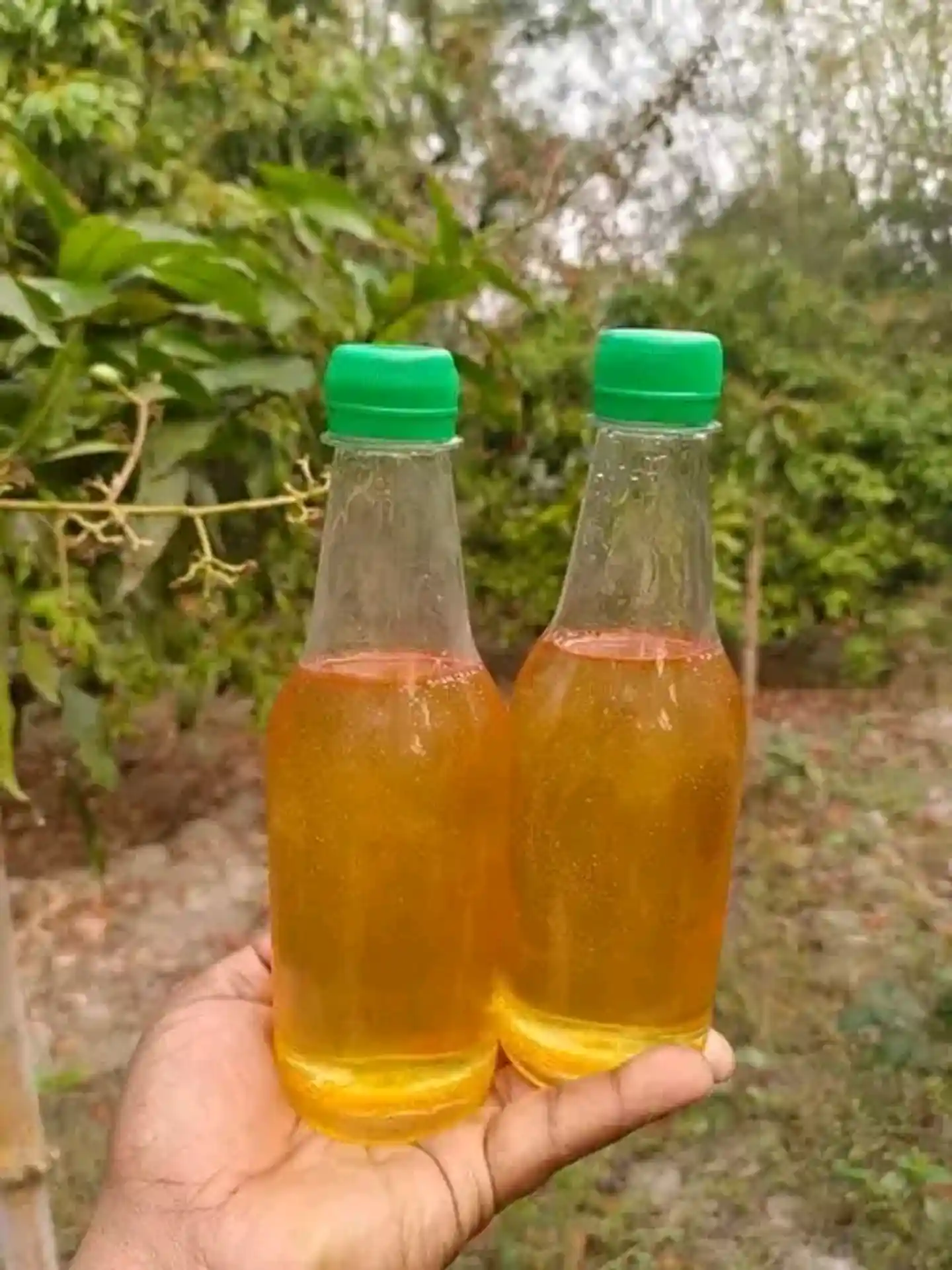 লিচু ফুলের মধু thumbnail 2