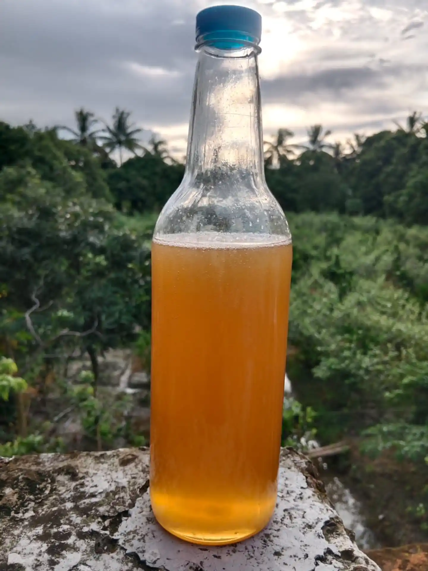 লিচু ফুলের মধু thumbnail 3