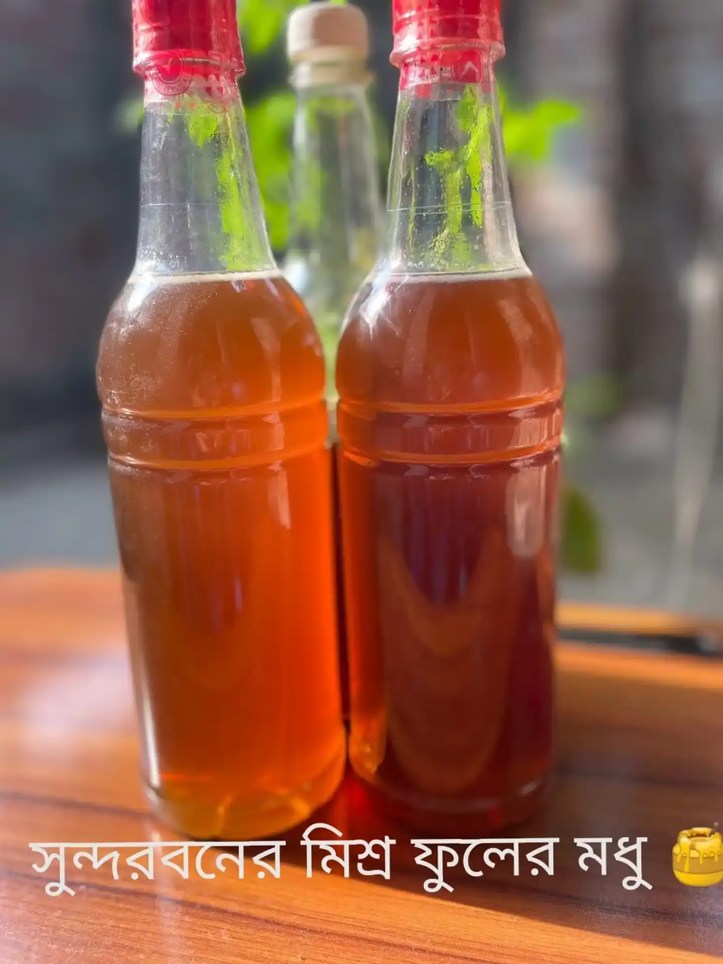 সুন্দরবনের মধু thumbnail 3