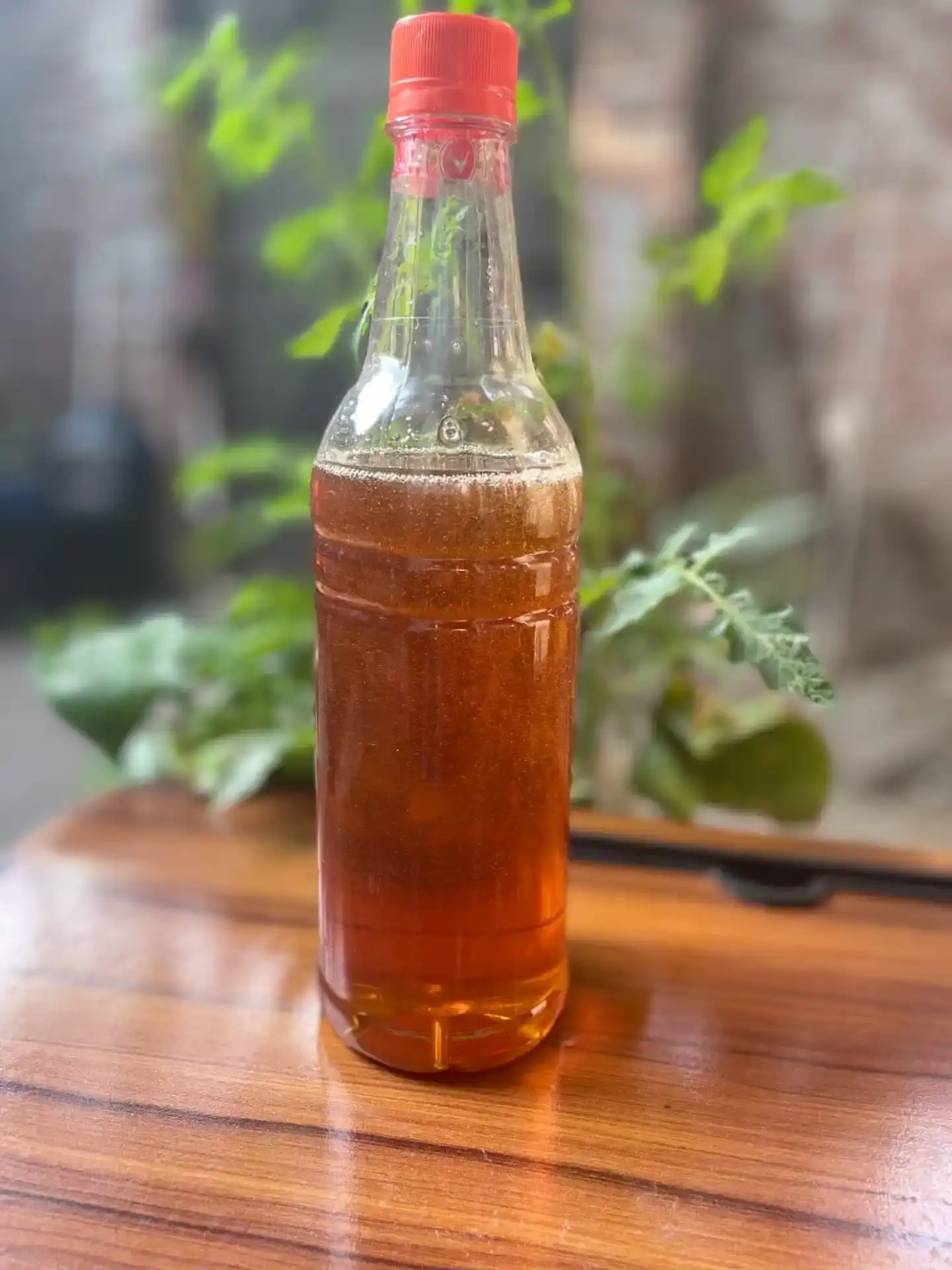 সুন্দরবনের মধু thumbnail 2