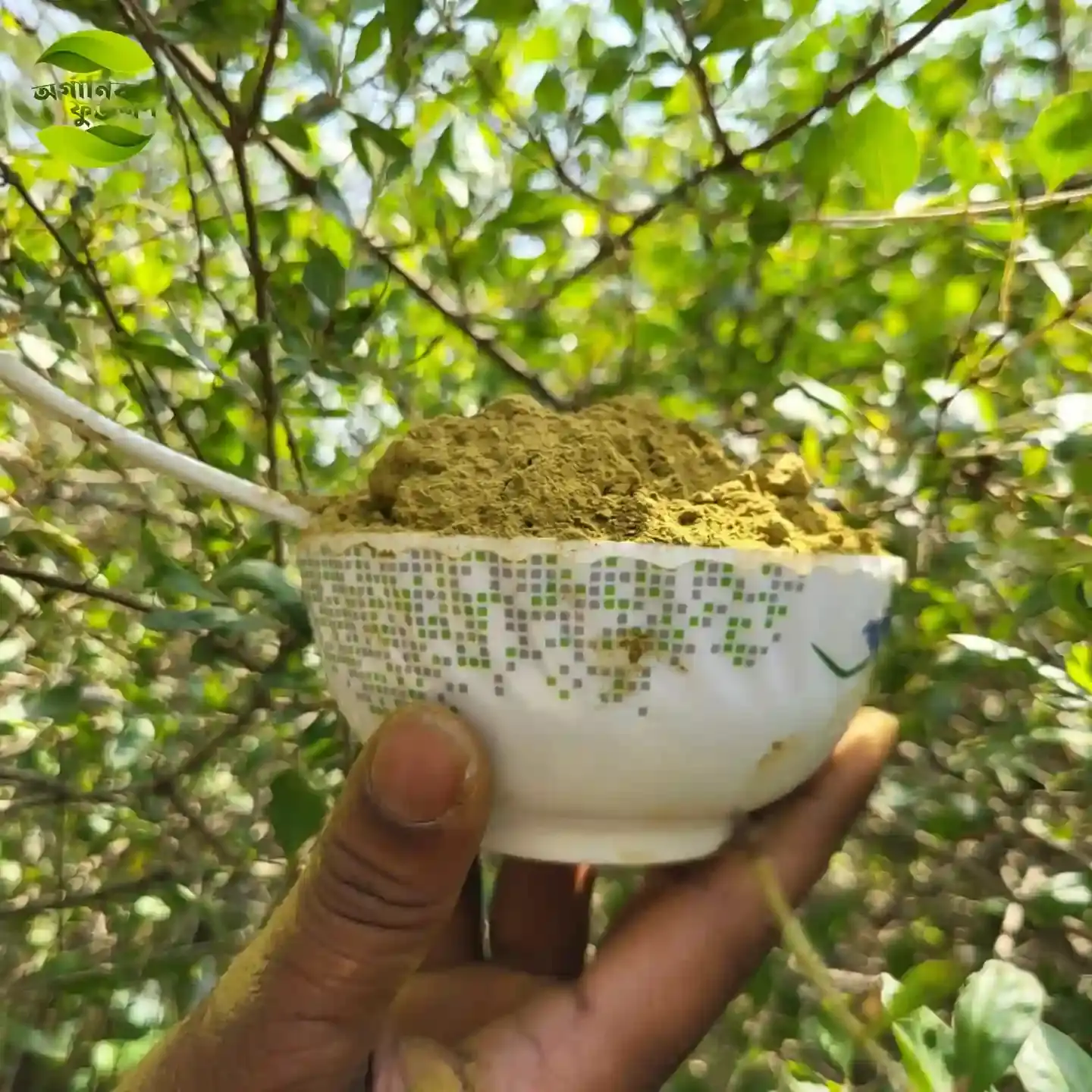 মেহেদি - Henna