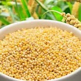 কাউনের চাল