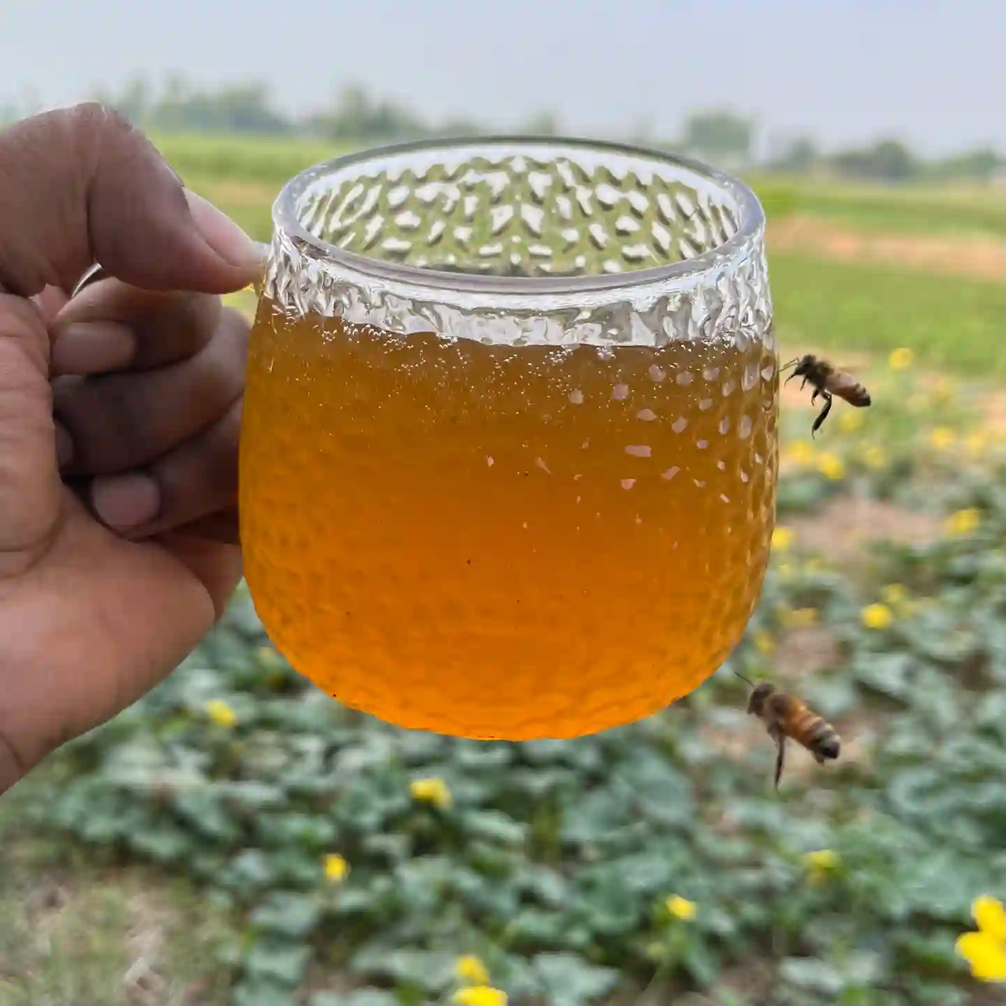 Mixed Flowers' Honey (প্রাকৃতিক মিশ্র ফুলের মধু)