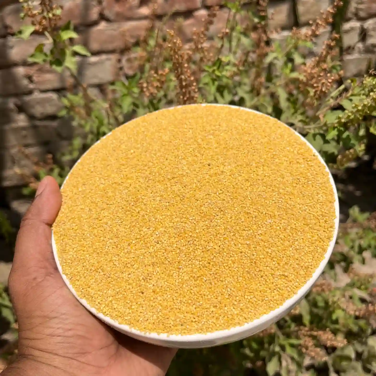 Foxtail Millet (কাউন চাল আতপ)    