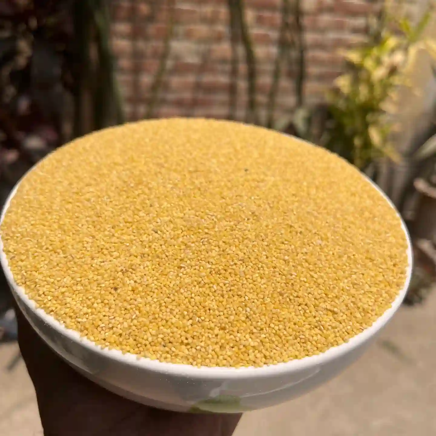 Foxtail Millet (কাউন চাল আতপ)    