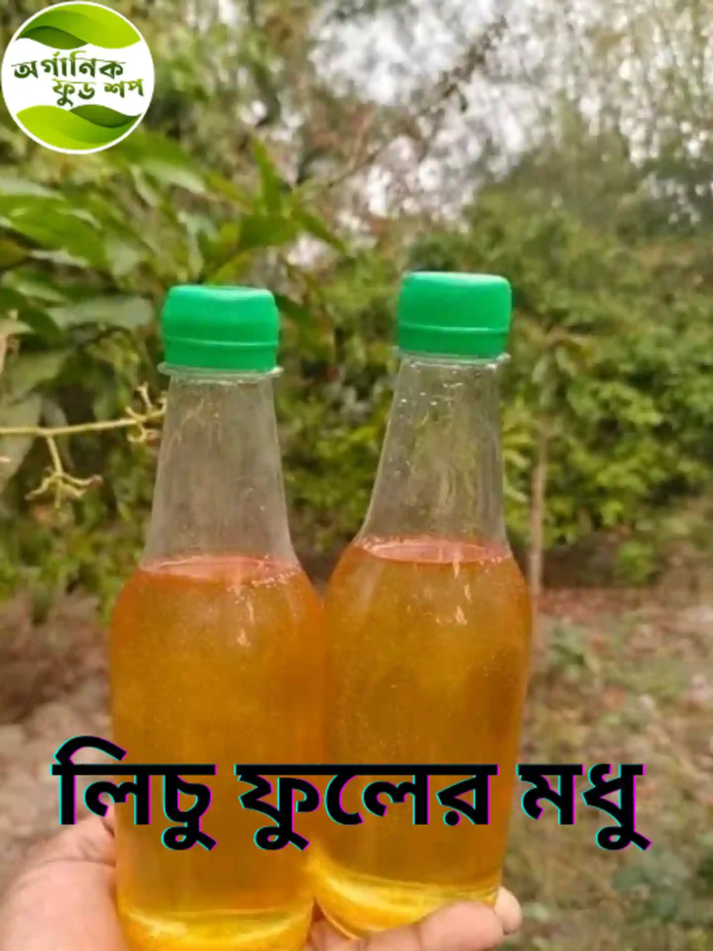লিচু ফুলের মধু 