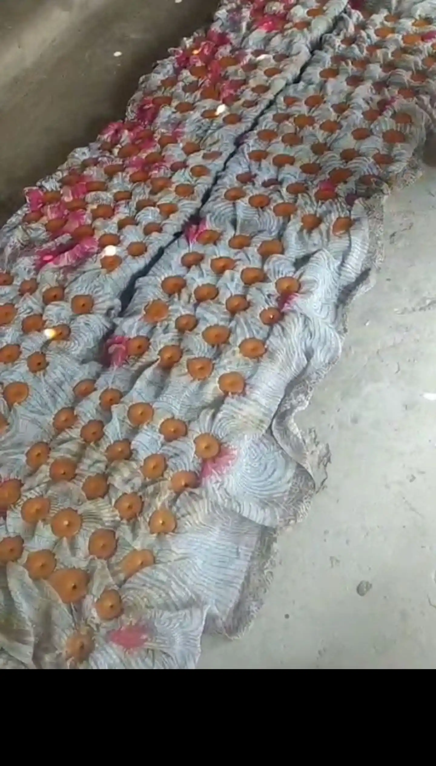 তালের গুড়